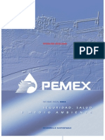 PEMEX Informe Seguridad, Salud y Medio Ambiente 2002