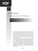 Sensemaking Ancona