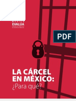 La Cárcel en México ¿Para Qué?