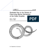 Illustrated Key To The Genera of Free-Living Marine Nematodes of The Order Enoplida