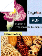 7a Transposable Elements