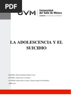 La Adolescencia y El Suicidio, Ensayo