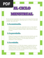 Ciclo Biologia