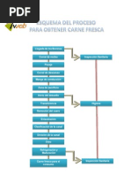 Esquema Del Proceso para Obtener Carne Fresca