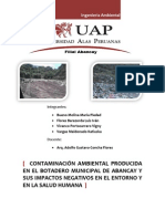 Contaminacinambientalenelbotaderomunicipaldeabancay2 120805191508 Phpapp02