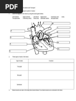 Blood Circulation and Transport Module