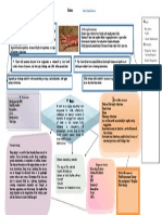 BURNS - Concept Map