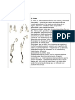 Fundamentos Del Voleibol