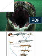 La Evolución de Las Serpientes