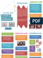 Como Mantener Limpio Una Protesis Dental PDF