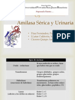 Seminario Amilasa