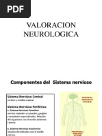 Valoracion Neurologica