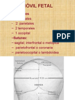 Móvil Fetal