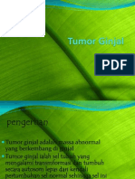 Tumor Ginjal