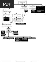 Breast Cancer Pathophysiology