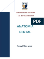 Anatomia Dental