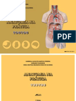 Anatomia