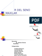 Anatomia Del Seno Maxilar