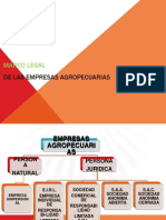 Marco Legal para La Constitución de Empresas Agropecuarias