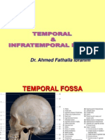 03A-Temporal and Infratemporal Fossa