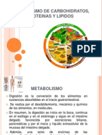 Nutricion Del Metabolismo de Carbohidratos, Proteinas y Lipidos