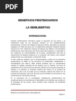 Monografia de Semilibertad