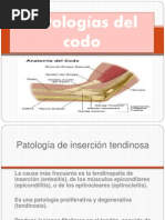 Patologia Del Codo