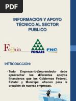 Información y Apoyo Técnico Al Sector Publico