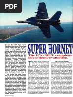 FA-18 EF Super Hornet - Combat Aircraft