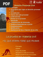 PRUEBAS Derecho Procesal Civil 2013-2