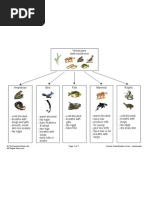 Animal Classification Chart - Vertebrates