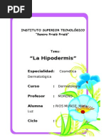 Monografía - Hipodermis