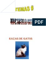 Razas de Gatos