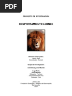 Comportamiento Leones