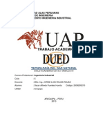 TA Tecnologia Gas Natural FUENTES AQP