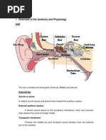 Overview of The Anatomy and Physiology: Audition