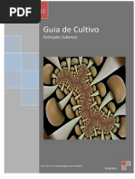 Guia de Cultivo