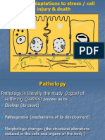 Curs Anatomie Patologica