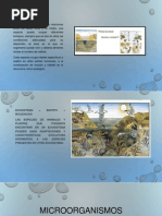 Microorganismos Establecidos en Los Sistemas Acuáticos 22