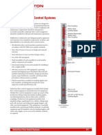 Subsurface Flow Control Systems 8-1