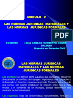 Modulo 2 - Las Normas Juridicas Materiales