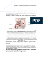 Causas Físicas de La Eyaculación Precoz