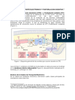 CTE y FO para Blog