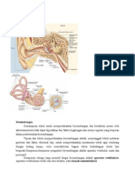 Anatomi Histologi Vestibuler Kasus 5