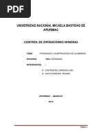 PROCESOS y Subprocesos de La Mineria