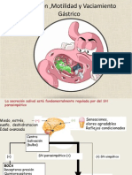 Fisiologia Gastrica