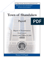 Shandaken Payroll Audit