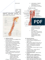 Upper Limbs Blood Supply and Nerves