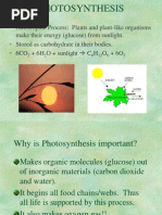 7th Grade Science Chapter 2 Photosynthesis