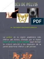 Examen de Pelvis